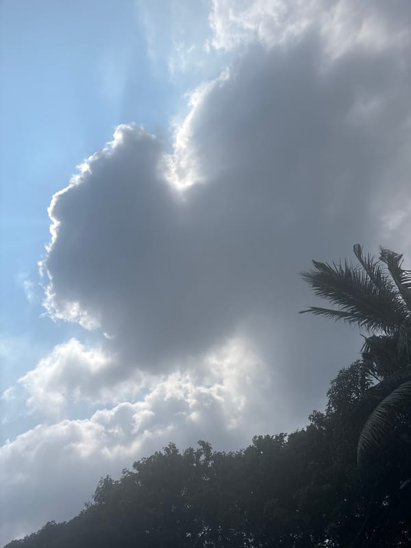 Early morning sky and tree observations in North Jakarta