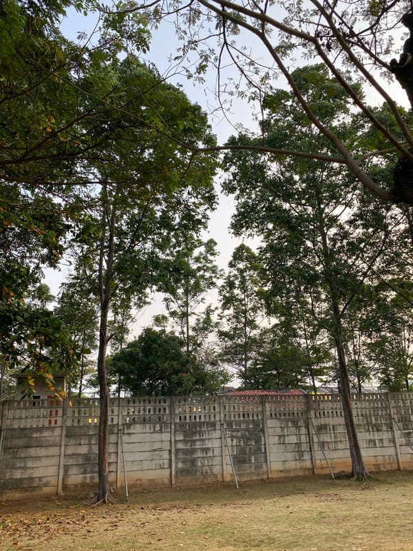 Morning scenes across a Jakarta urban park and its surroundings