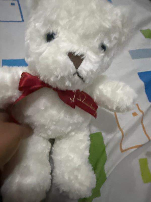 Teddy bear and medical textbook spotted in Dar es Salaam