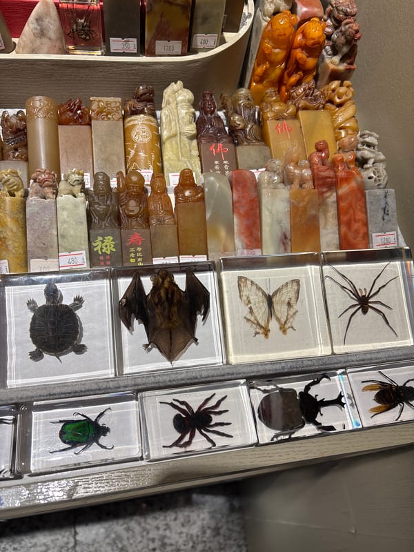 Tourist explores Guangzhou shops, restaurants and airport facilities