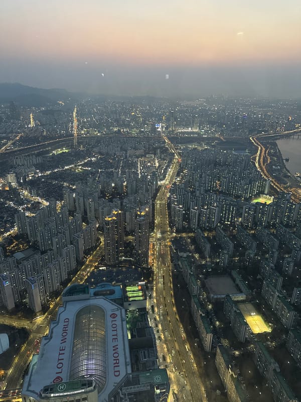 Visitor documents Seoul Sky tower observation deck experience