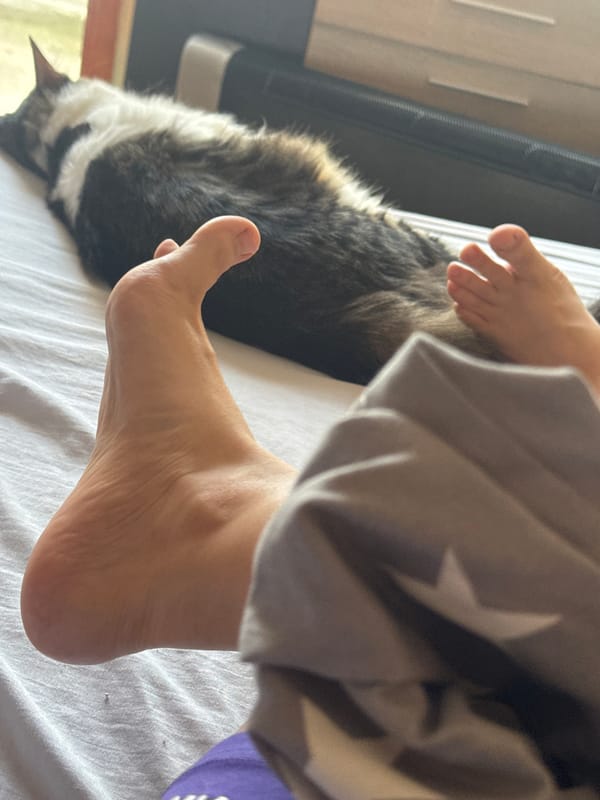 Lazy Sunday afternoon at home in Plovdiv