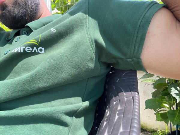 Close-up details: a branded polo shirt and a blooming begonia