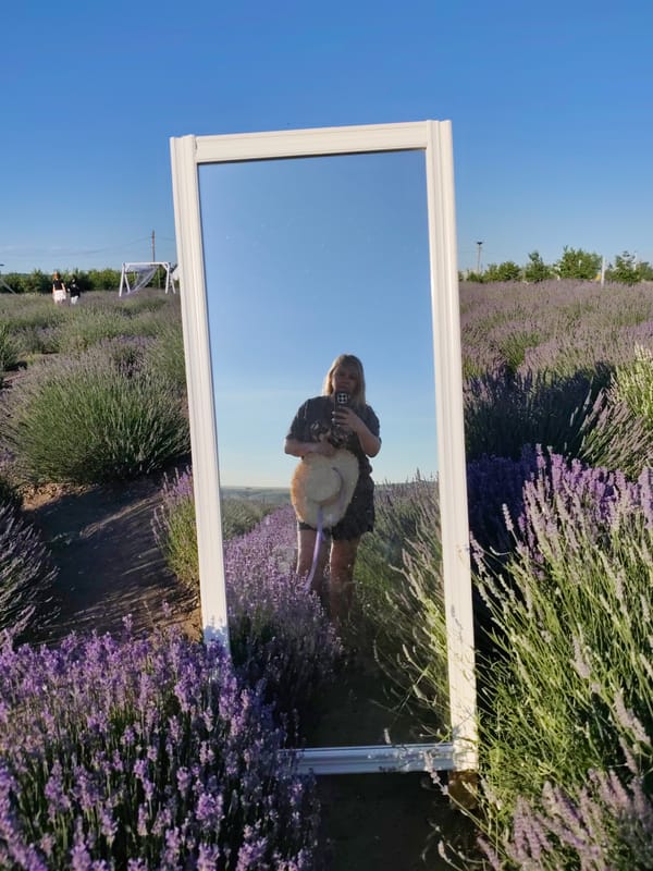 Afternoon at a lavender farm in Nechaiane, Ukraine