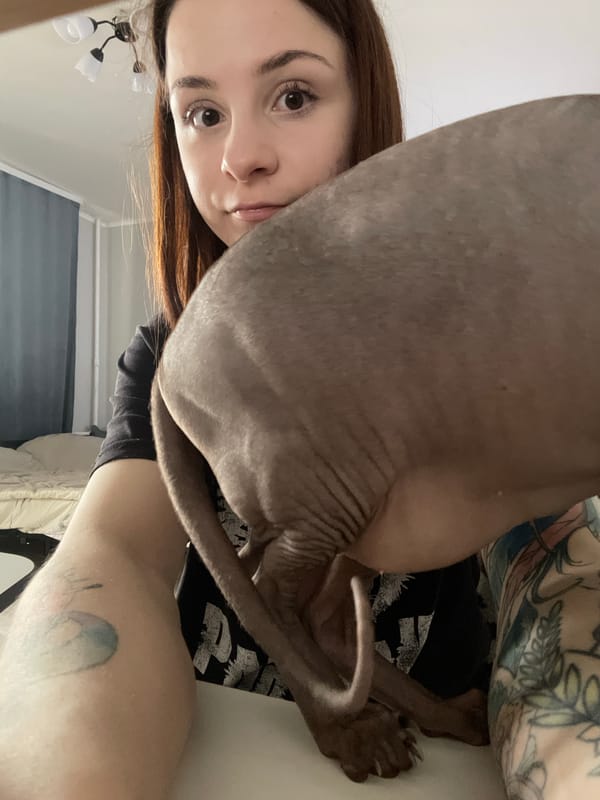 Woman documents daily moments with Sphynx cat companion
