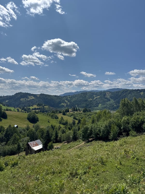 Rural hillside scenery near Dragoșa, Romania on a summer morning