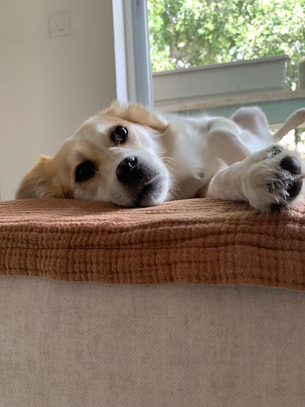 Ordinary afternoon moments captured across Tel Aviv neighborhood