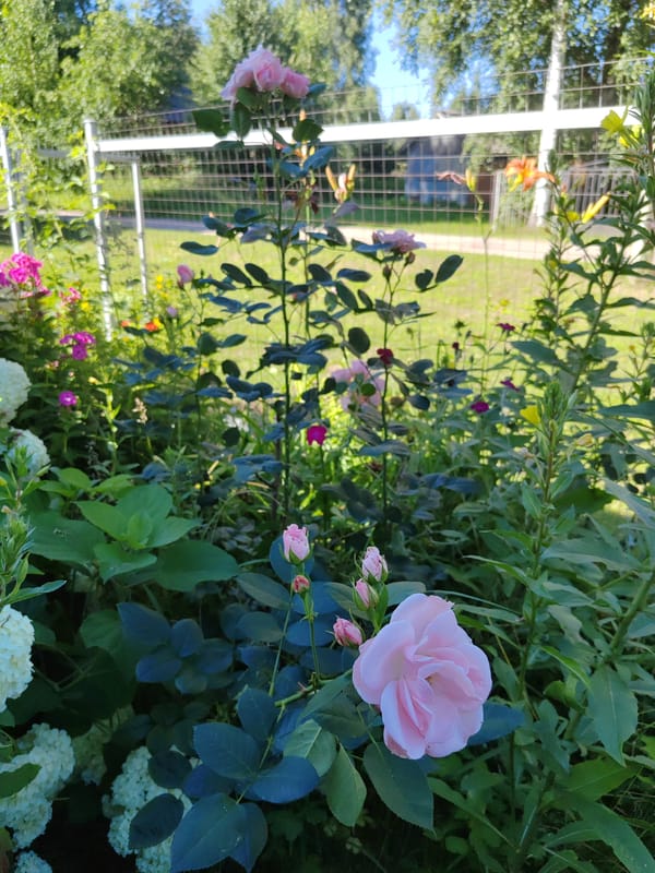 Event