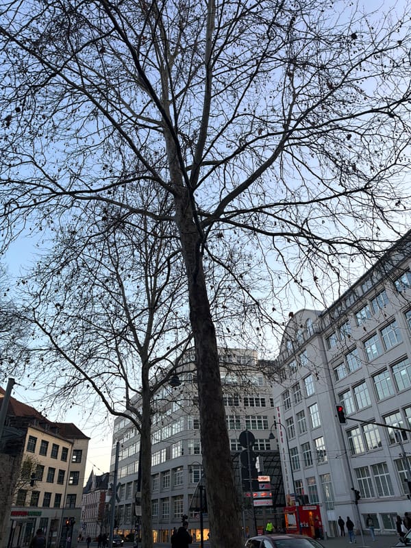 Street scenes captured in Jena, Germany showing urban buildings