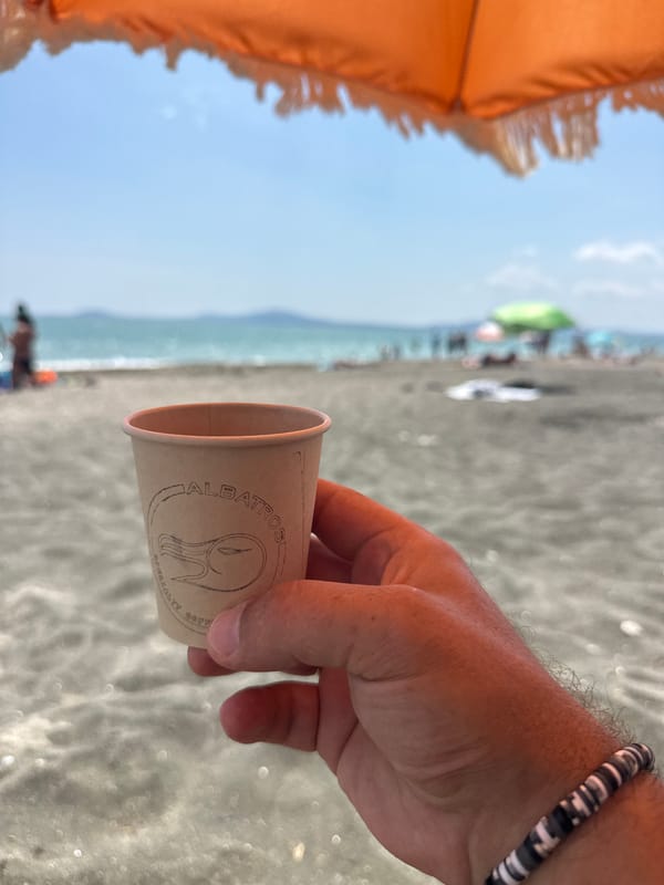 Albatros specialty coffee cup at Burgas beach