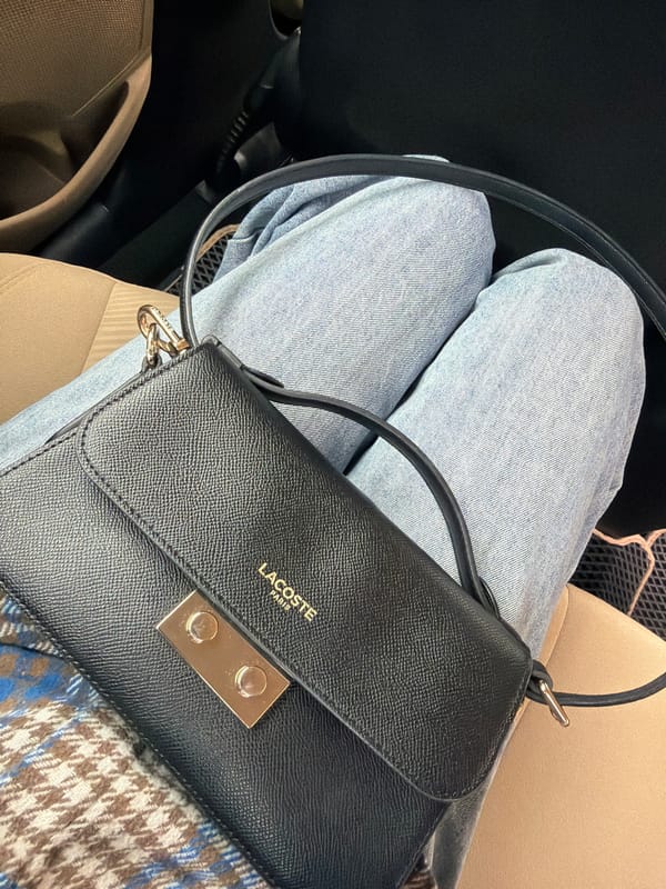 Person with Lacoste handbag photographed in car in Yerevan