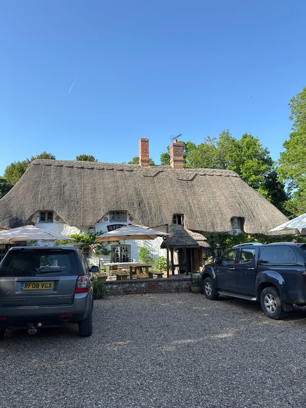 Afternoon visit to thatched-roof countryside pub documented by witness