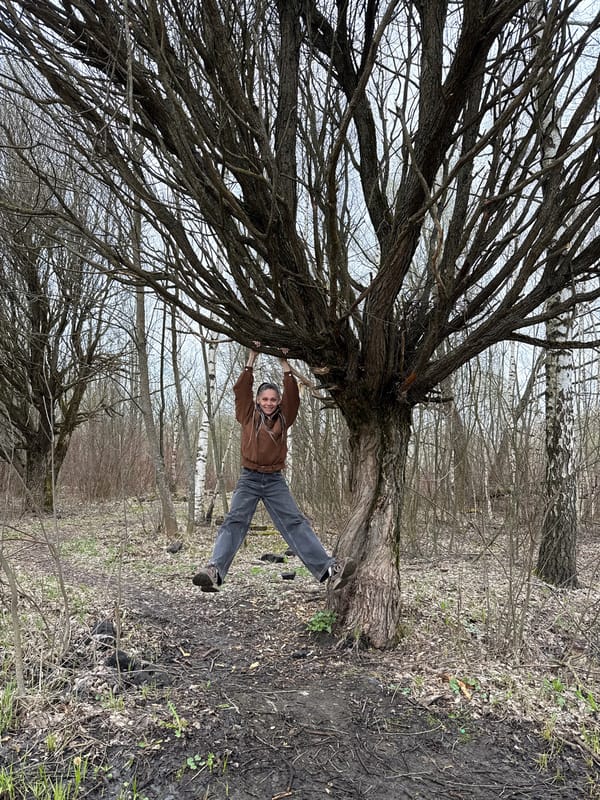 Person spotted hanging from tree in Russian woodland