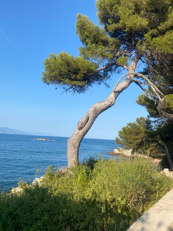 Antibes coastline and backstreets on a summer afternoon
