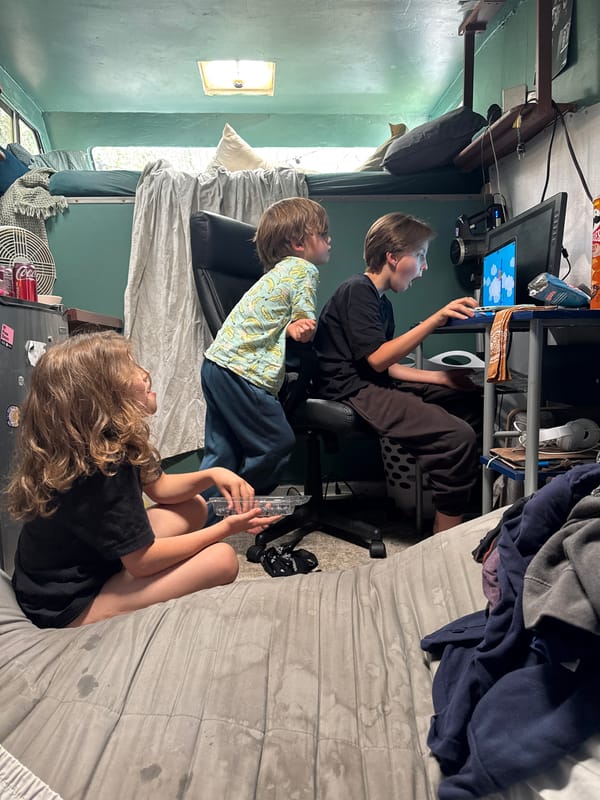 Boulder area daily life captured: children, sheep, resting dog
