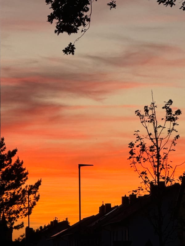 Evening sunset and social moments captured in Bruchköbel
