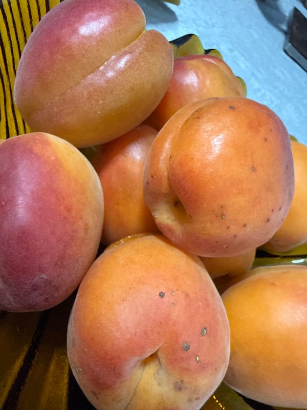 Apricots and nighttime streets in Sancaktepe