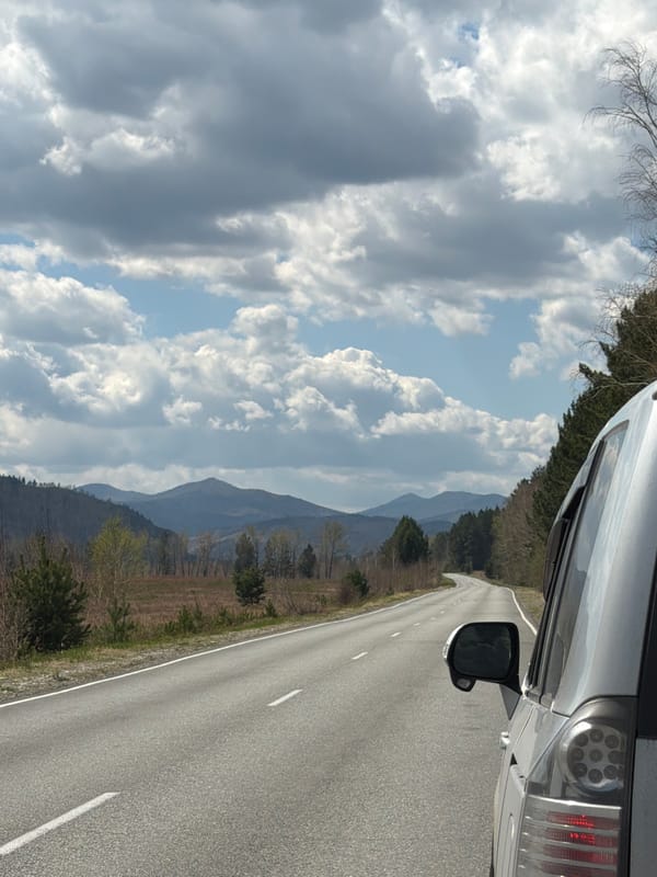 Driver documents road view in Сизая, Russia