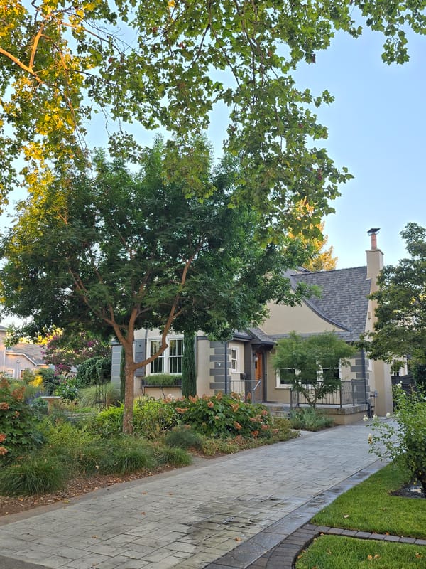 Traditional homes on a tree-lined residential street, summer afternoon.