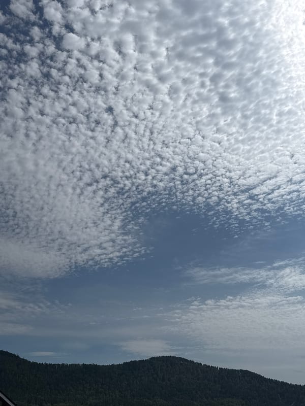 Altocumulus clouds over open landscape near Манский, Russia