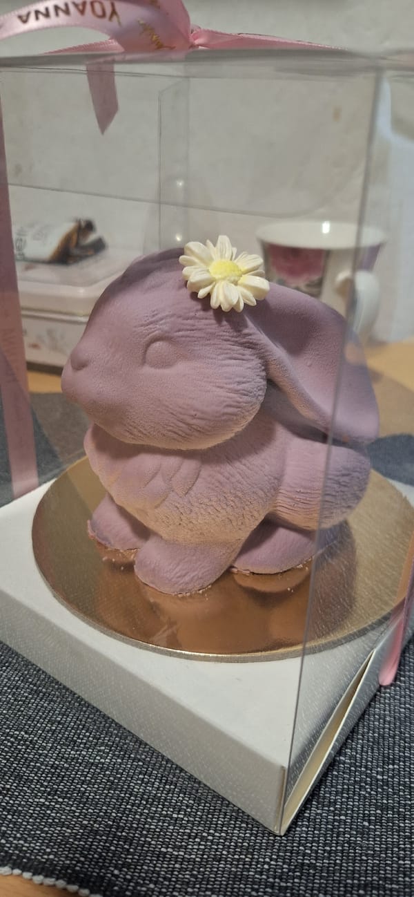 Custom cakes and sleeping dog captured in Blagoevgrad home