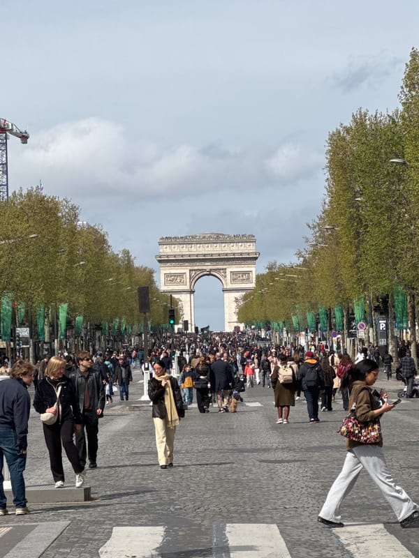 Crowds gather near Arc de Triomphe as cyclist snaps selfie