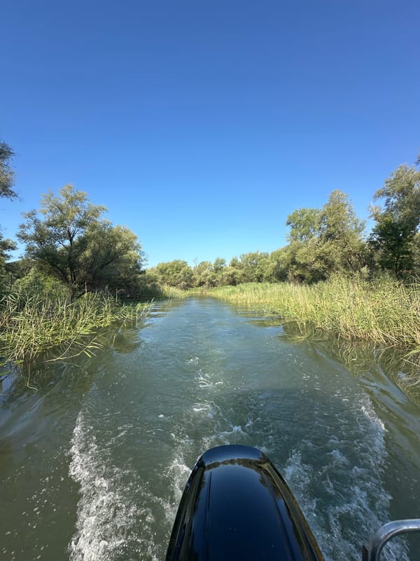 Slow boat passage through a lush Montenegrin river channel