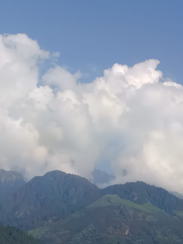 Cloudy mountain views over forested hills near Vashisht