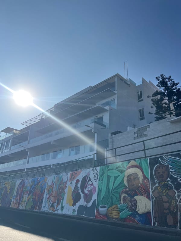Witness documents Arica's urban murals and iconic coastal signage