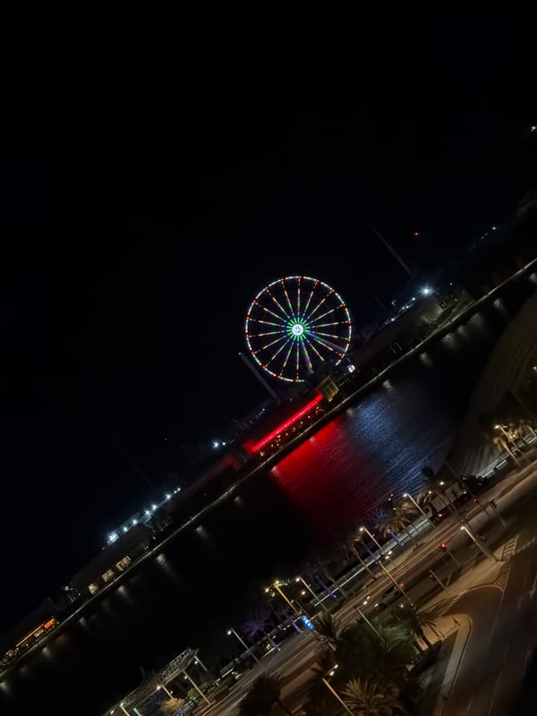 Late-night city views and a waterfront Ferris wheel lit up