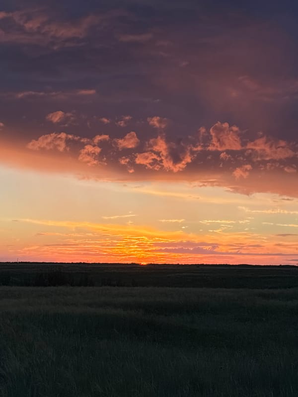 Vivid sunset over Kazakhstan's open steppe fields