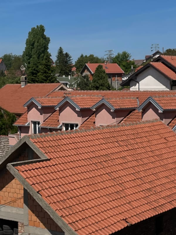 Belgrade's orange terracotta rooftops captured in daylight photograph