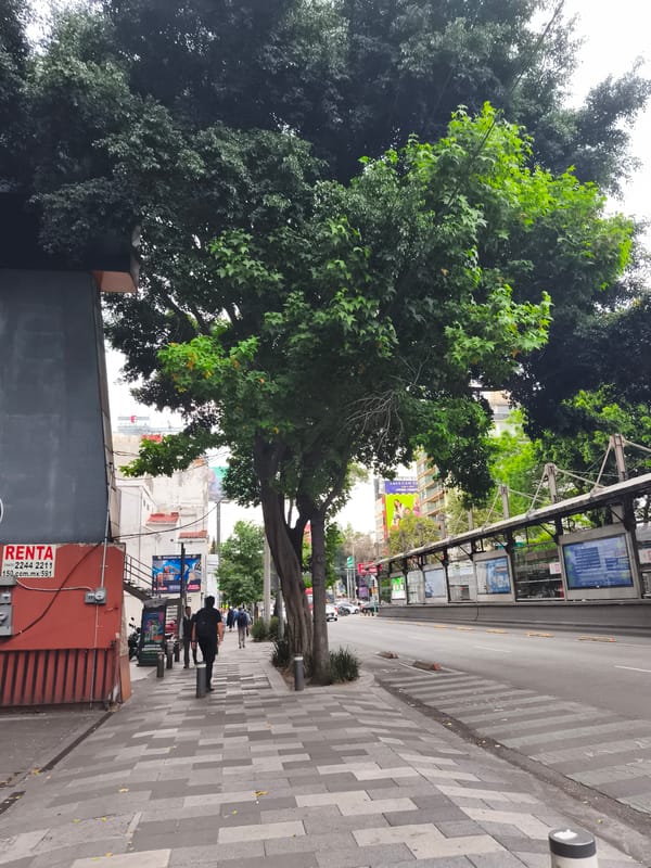 Daily life documented across Mexico City streets and transit