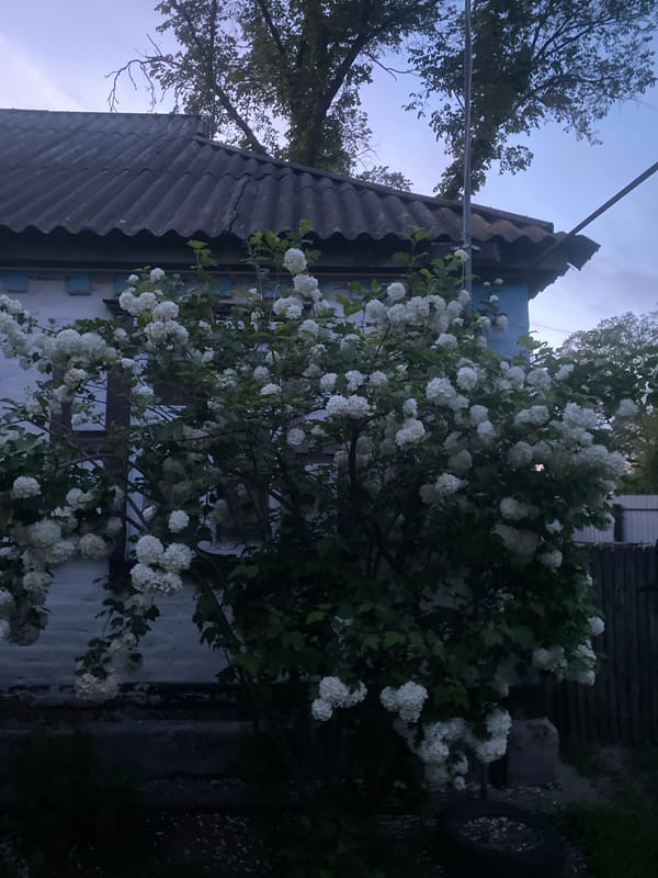 Twilight village life documented in rural Ukrainian community