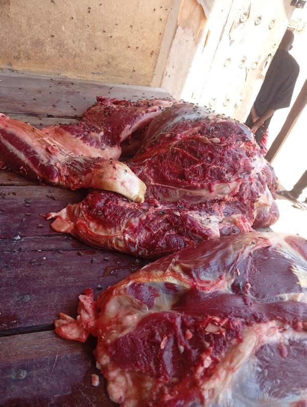 Morning market activity documented in Barnawa, Nigeria