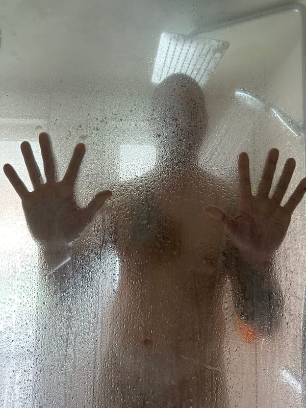 Person observed showering through frosted glass in Heinebach