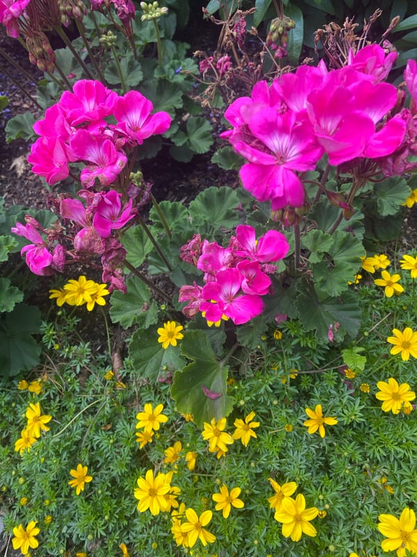 Afternoon at La Ronde: rides, sculptures, and park gardens