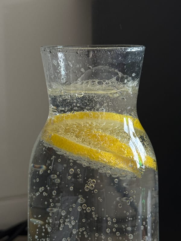 Lemon water preparation observed in Polje, Montenegro kitchen