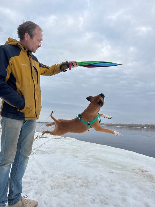Couple with colorful umbrellas photographed outdoors in Russian snow