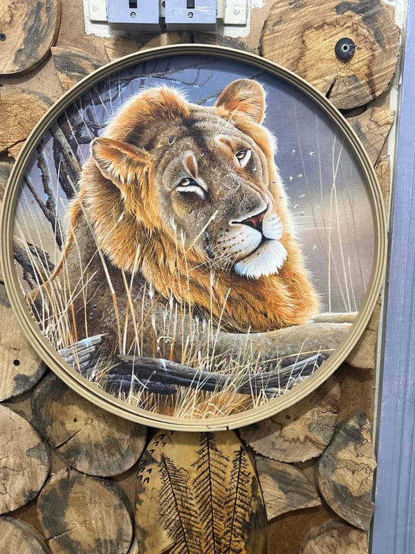 Close-up shots of decorative objects in an indoor setting