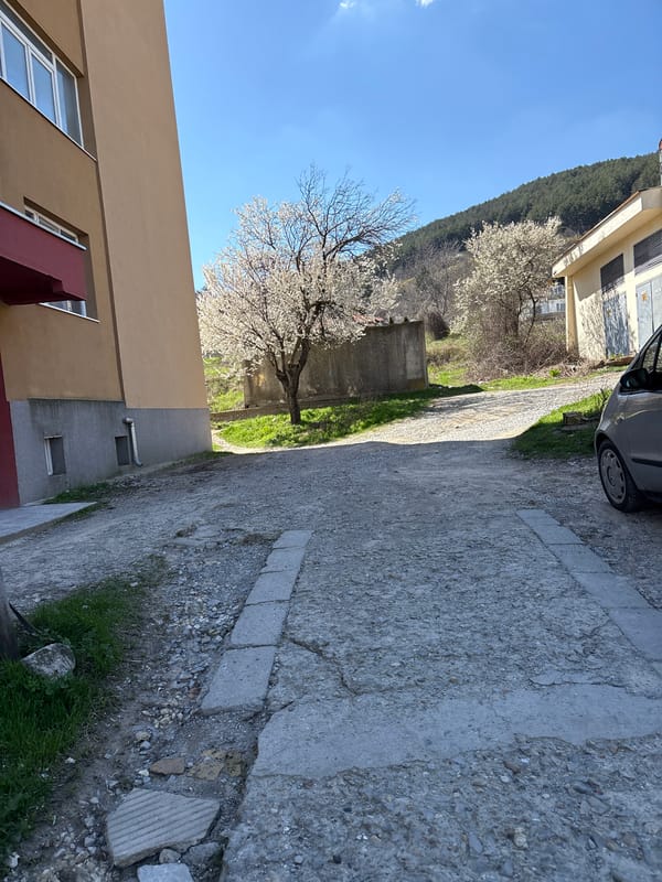 Spring blooms documented in urban Shumen, Bulgaria