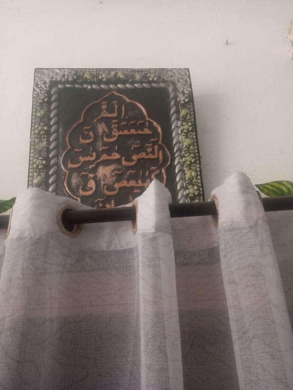 Home life in Mansehra — decorated interiors and a flowering garden