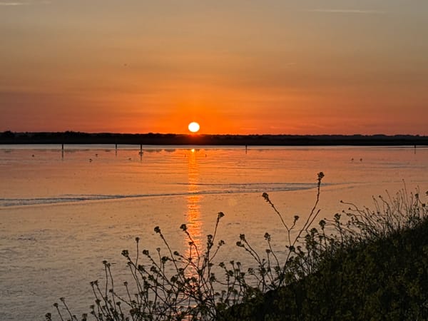 Sunset walk documented through Great Yarmouth marshland paths
