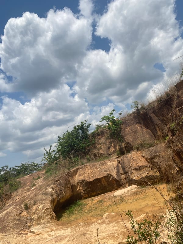 Nature documentation captures quarry wildlife and village views in Achara