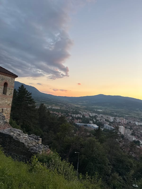 Witness documents urban valley and forest views during evening