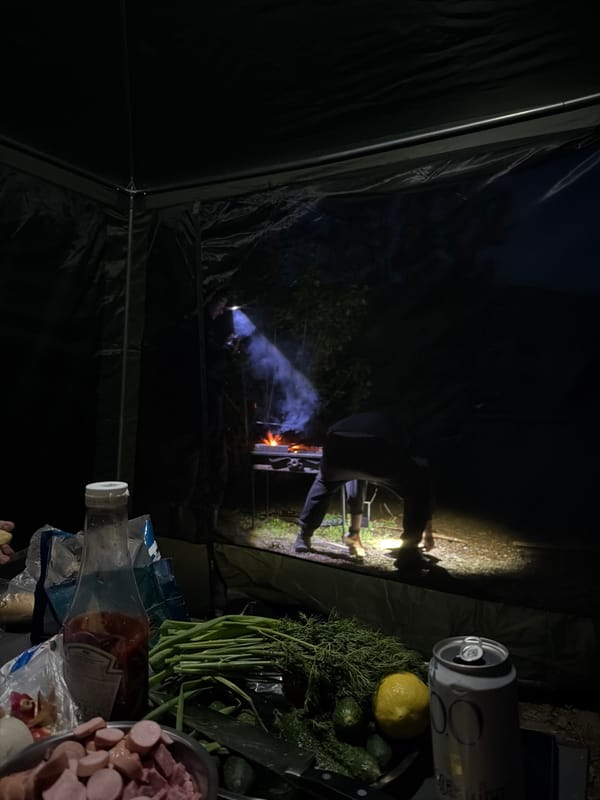 Evening camping trip documented in Noviy, Russia