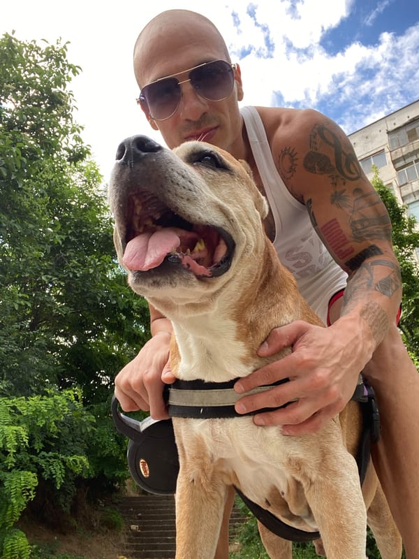 Afternoon hang with a pit bull in Pleven, Bulgaria