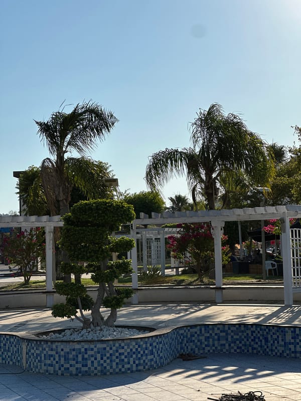 Afternoon around Fethiye's harbor and surrounding streets