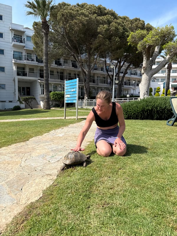Woman interacts with tortoise on path in Serik, Turkey