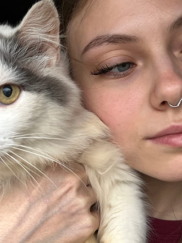 Morning sightings of residents captured in Фоки, Russia